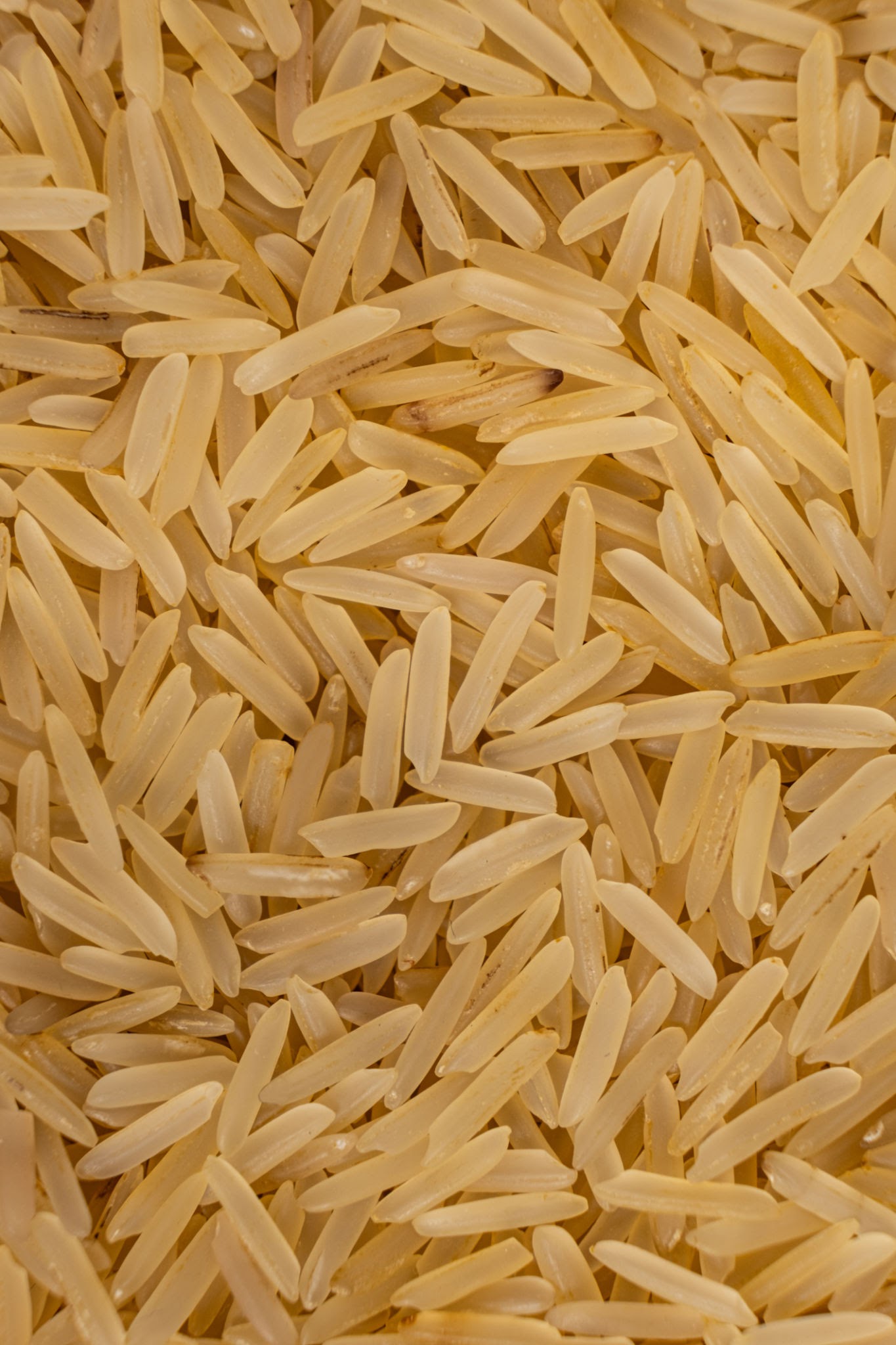 Parboiled (Sella)